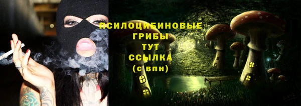 мяу мяу мука Козельск