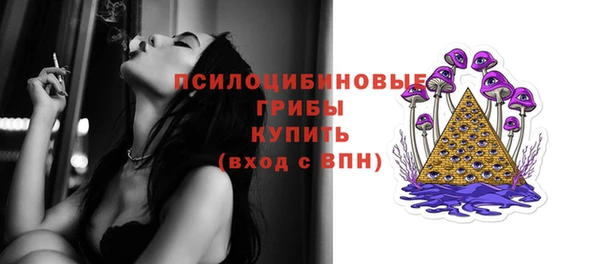 гидропоника Кодинск