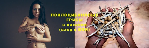 мяу мяу мука Козельск