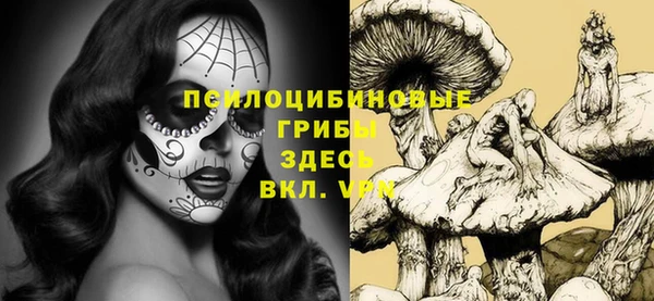 гидропоника Кодинск