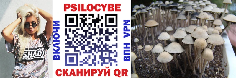 Купить  Кандалакша  Галлюциногенные грибы прущие грибы 